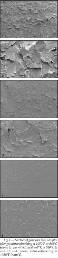 Figure 1 Surface of gray cast iron samples