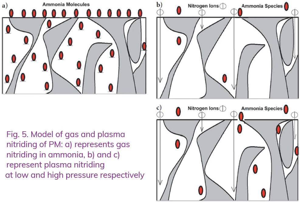 Model Of Gas And Plasma Nitriding Of Pm